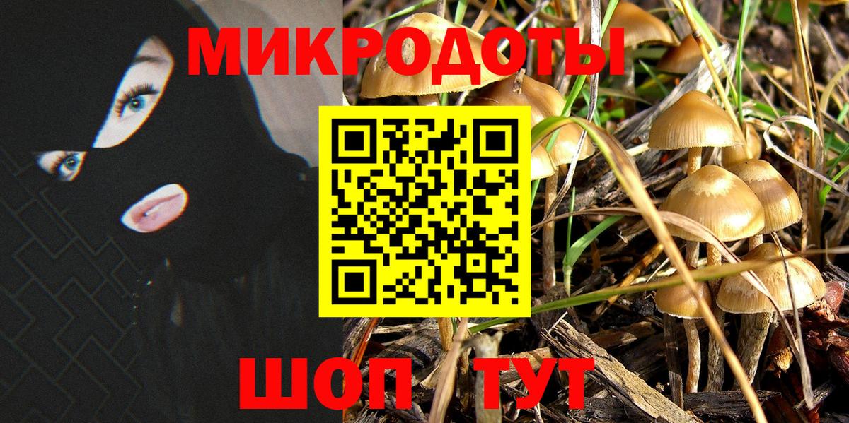 Галлюциногенные грибы Psilocybine cubensis Малоярославец