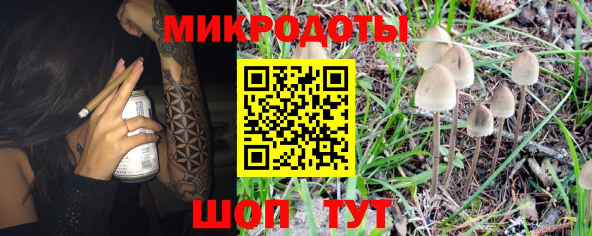 купить   Псилоцибиновые грибы прущие грибы  Вход с VPN  Малоярославец  Псилоцибиновые грибы мицелий 